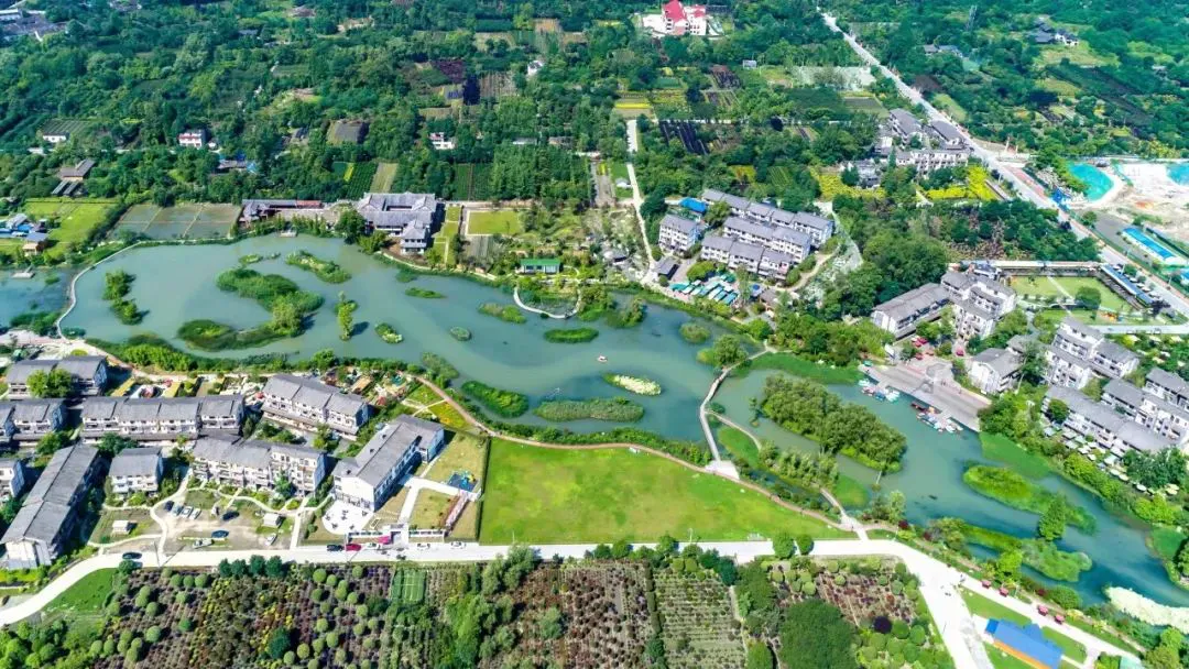 如何通过数据分析优化篮板训练效果?_1